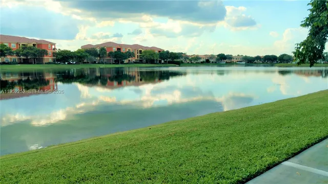 a view of a park with palm trees