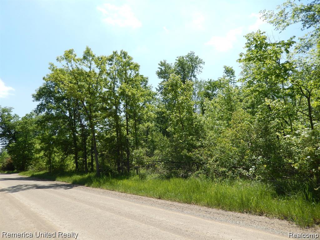 Parcel 20 Munsell Road Howell, MI 48843 - Photo 8 of 8