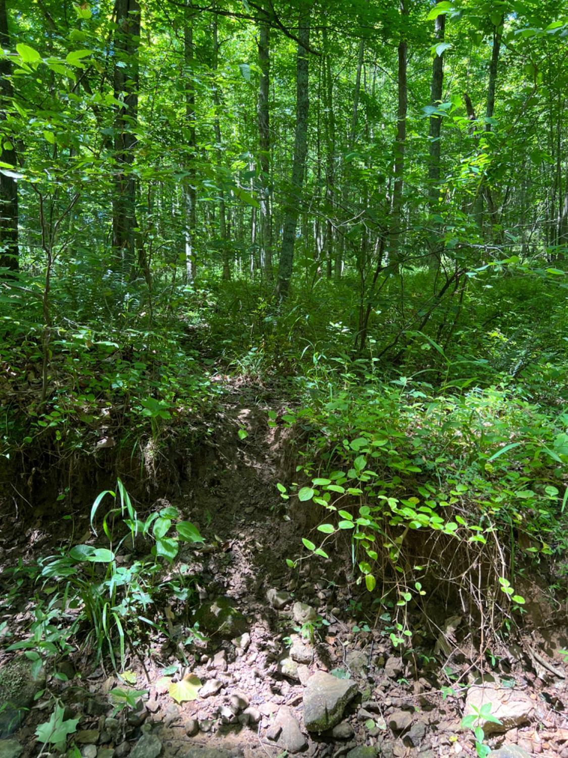 0 Bucklick Road Jackson, OH 45640 - Photo 23 of 50 Gallery Image 23