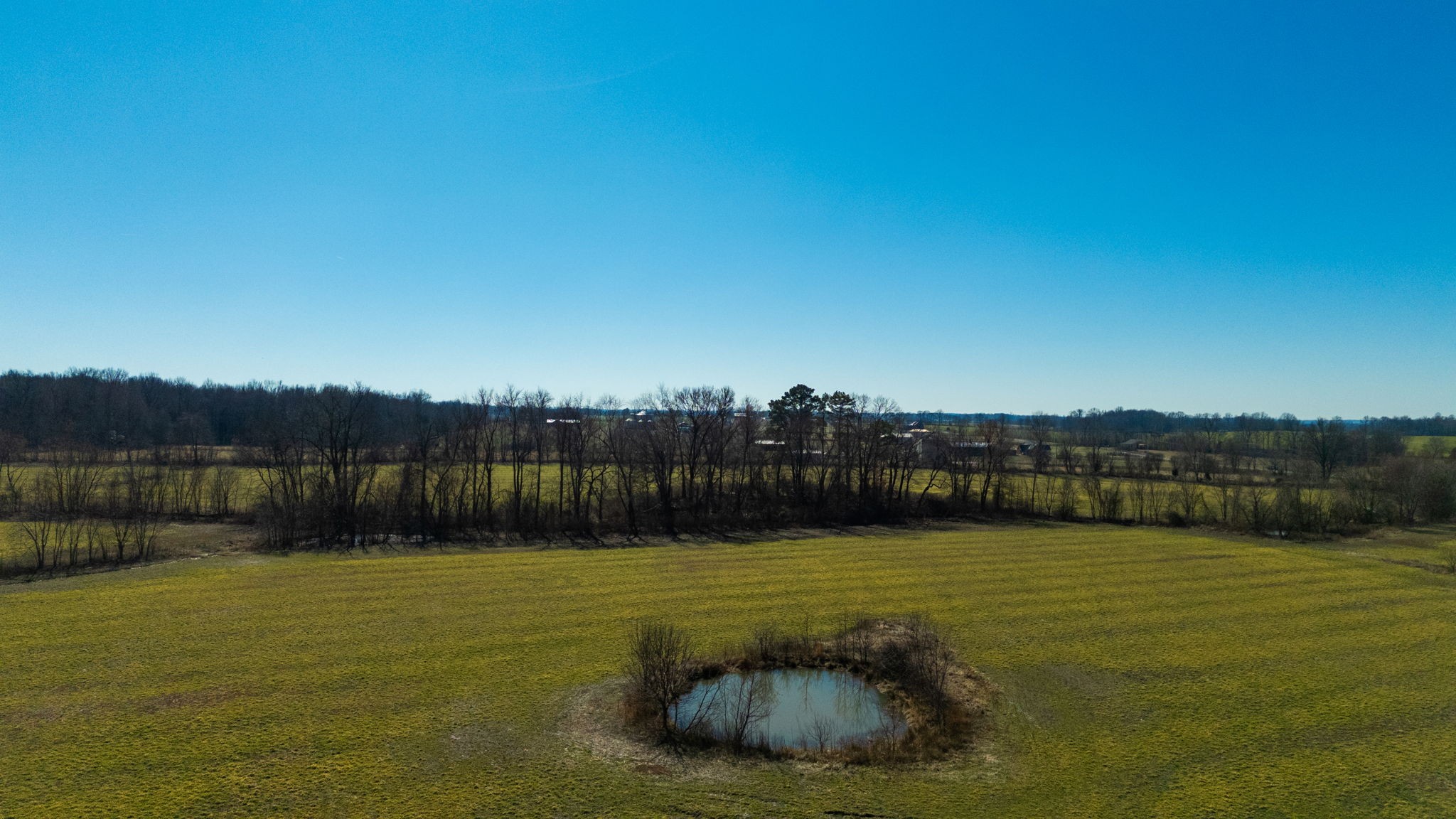 1902 Kinneys Road Adams, TN 37010 - Photo 12 of 59 a view of a swimming pool and a yard