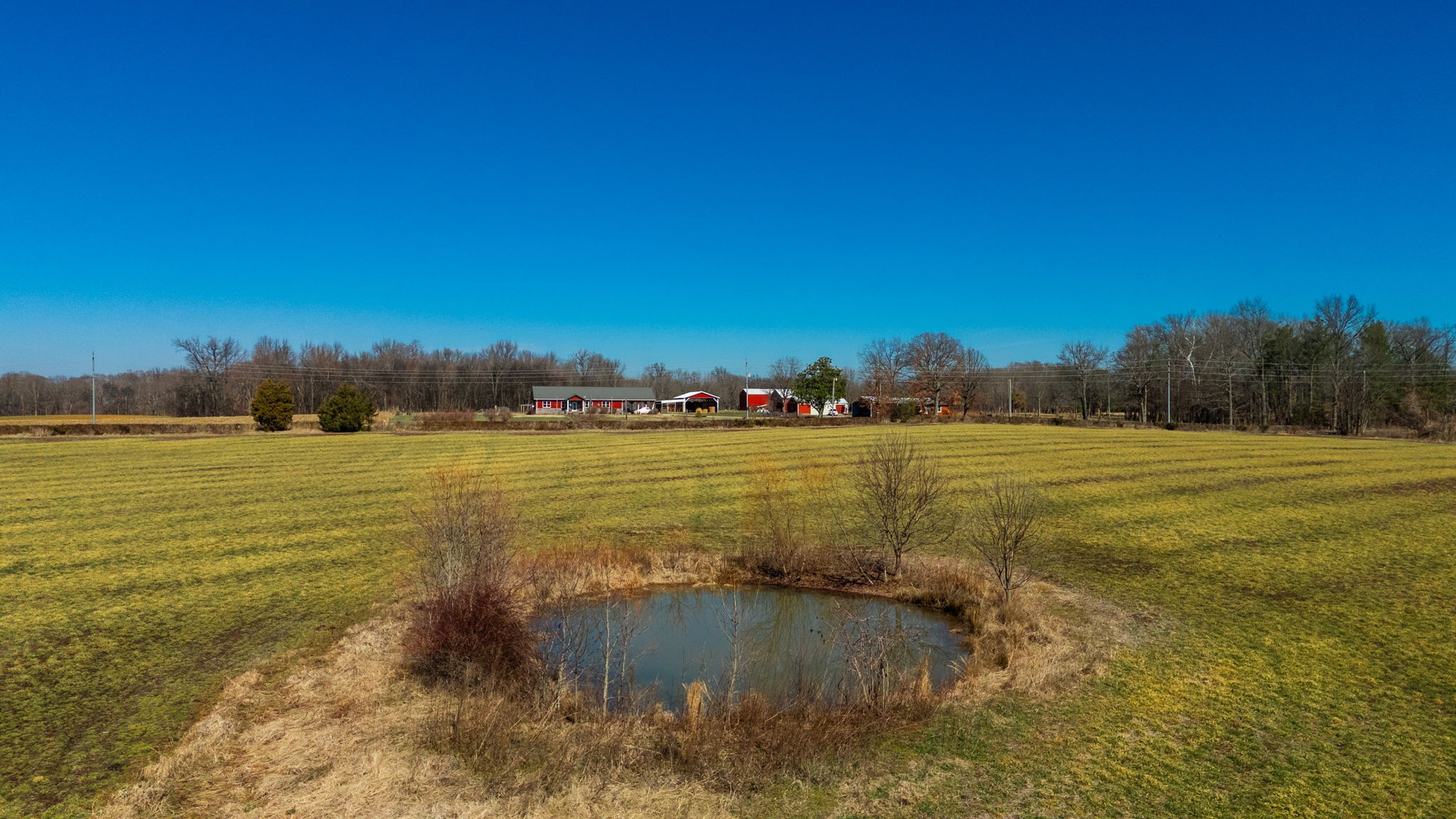 1902 Kinneys Road Adams, TN 37010 - Photo 14 of 59 a view of a lake with houses in the background