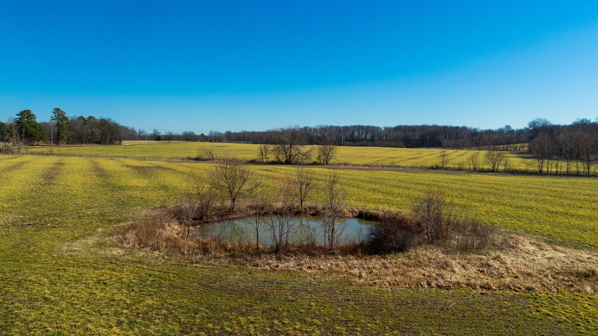1902 Kinneys Road Adams, TN 37010 - Photo 16 of 59 a view of an ocean and beach