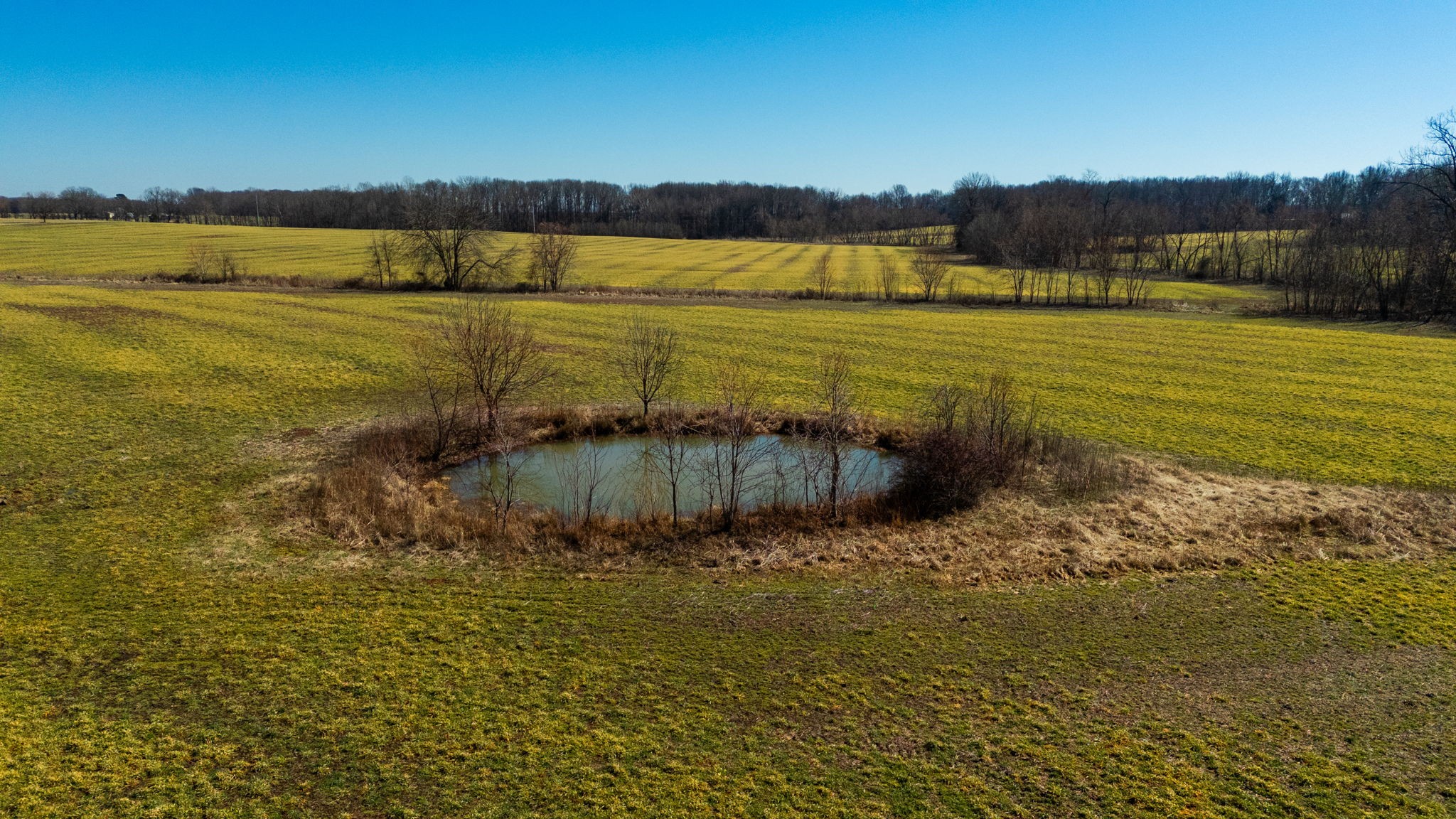 1902 Kinneys Road Adams, TN 37010 - Photo 17 of 59 a view of an ocean and beach
