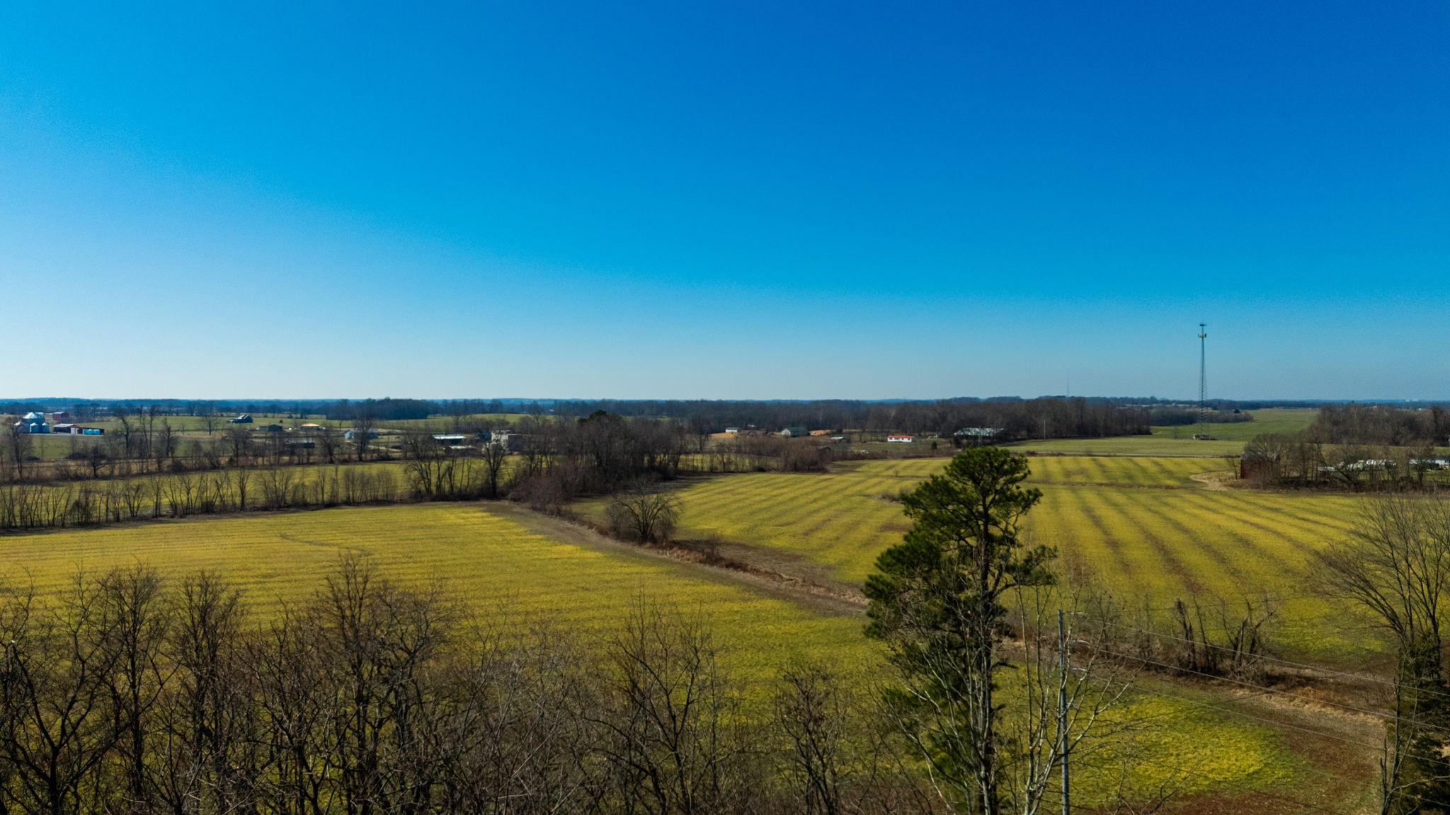 1902 Kinneys Road Adams, TN 37010 - Photo 38 of 59 a view of an ocean and beach