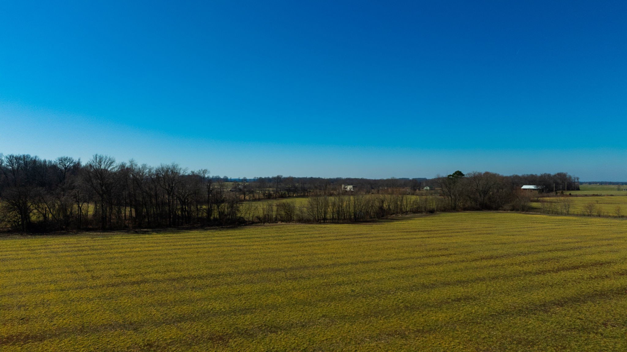 1902 Kinneys Road Adams, TN 37010 - Photo 39 of 59
