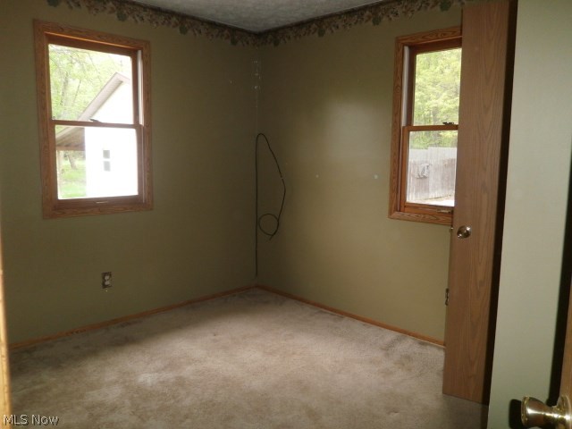 4107 Austin Road Geneva, OH 44041 - Photo 12 of 19