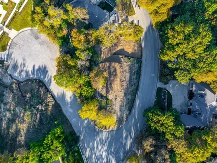 a view of a yard with plants