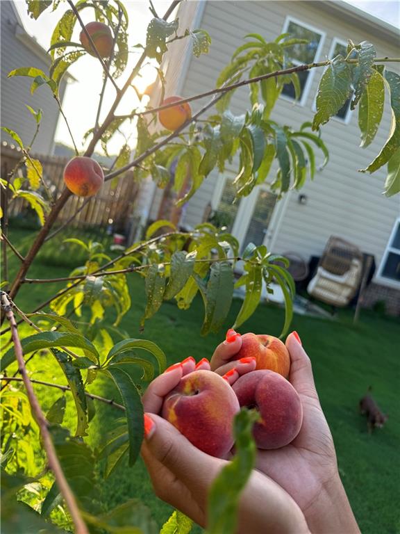 269 Knightsbridge Lane Winder, GA 30680 - Photo 11 of 41