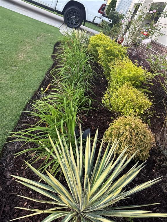 269 Knightsbridge Lane Winder, GA 30680 - Photo 15 of 41 a close up of a garden