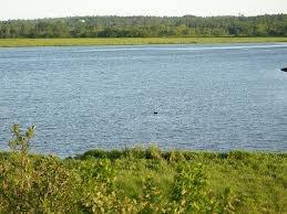 160 Rim Road East Machias, ME 04630 - Photo 4 of 6 View.