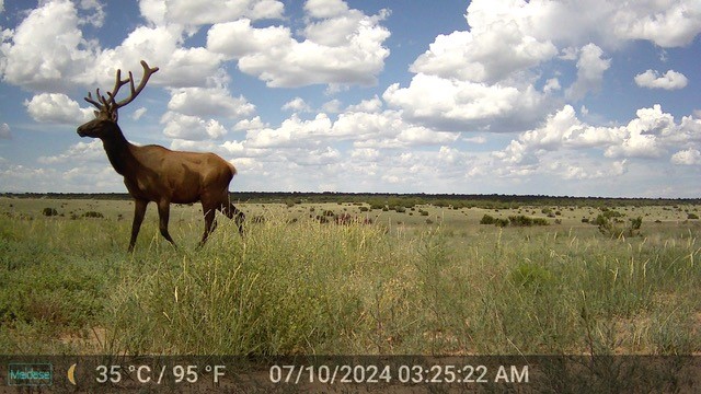 26262 US Highway 285 Ribera, NM 87560 - Photo 35 of 46