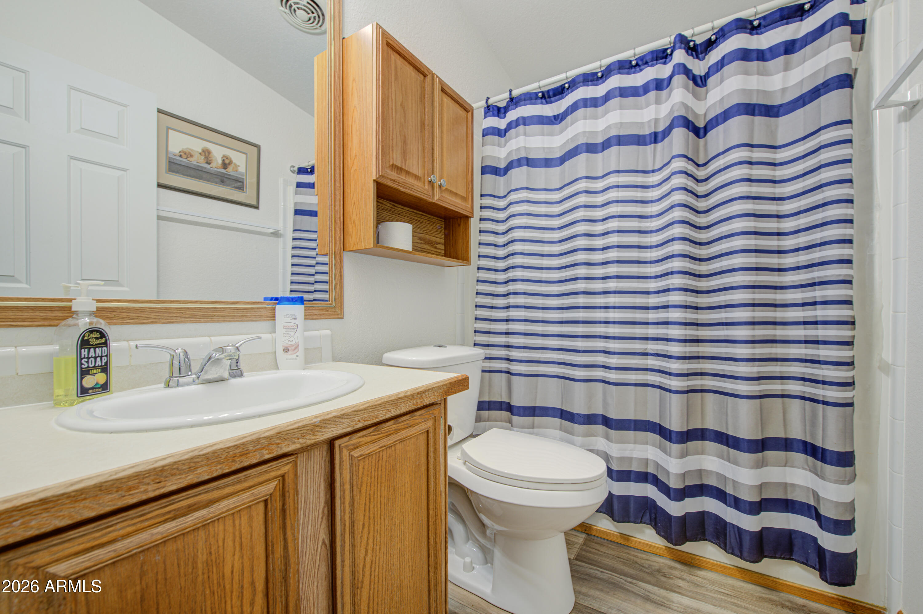 661 South Hawes Road, Unit 93 Mesa, AZ 85208 - Photo 47 of 59 Bathroom 2-pic 2