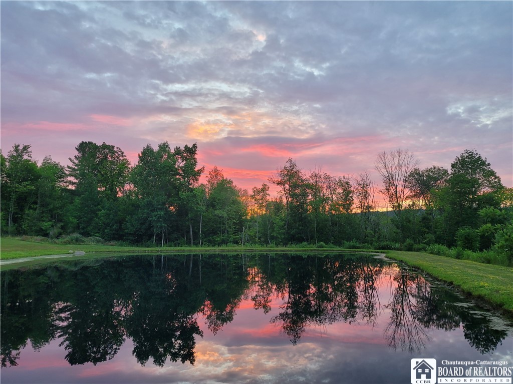 8509 West Hill Road Allen, NY 14711 - Photo 45 of 48 Pond