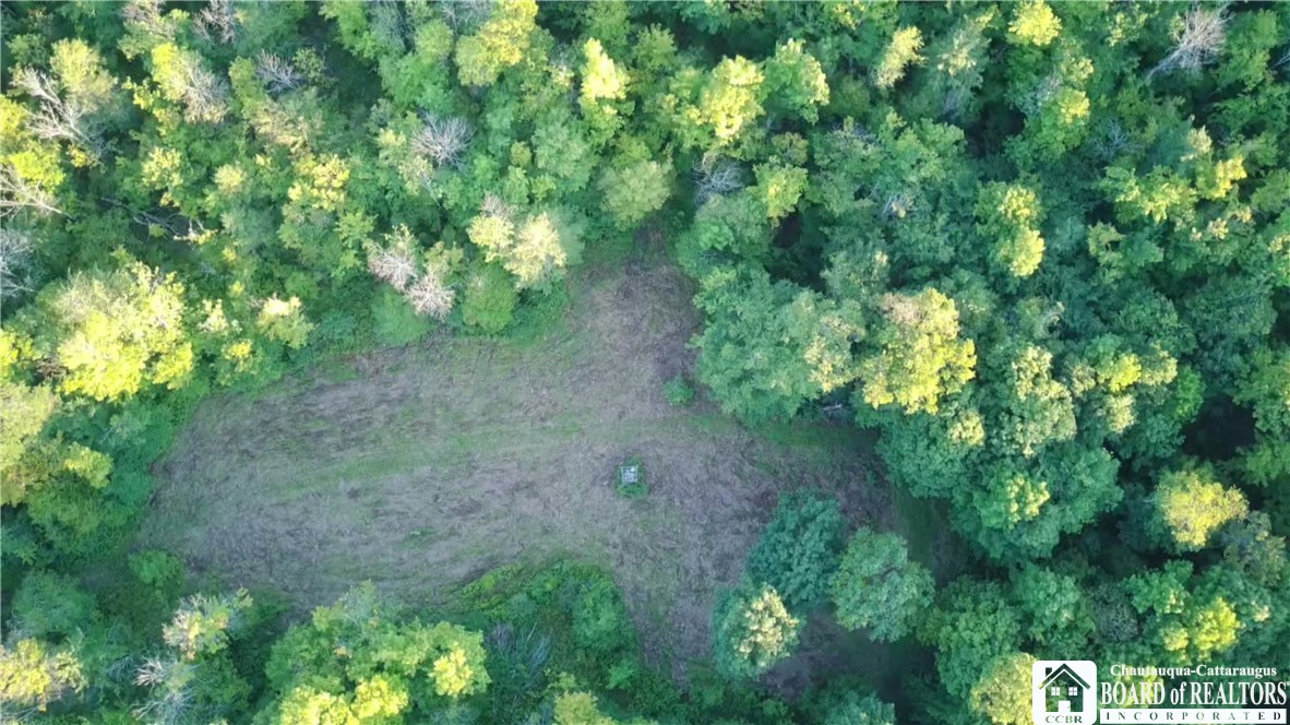 8509 West Hill Road Allen, NY 14711 - Photo 47 of 48