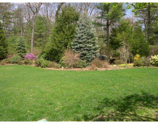 73 Fairview Road Weston, MA 02493 - Photo 11 of 26