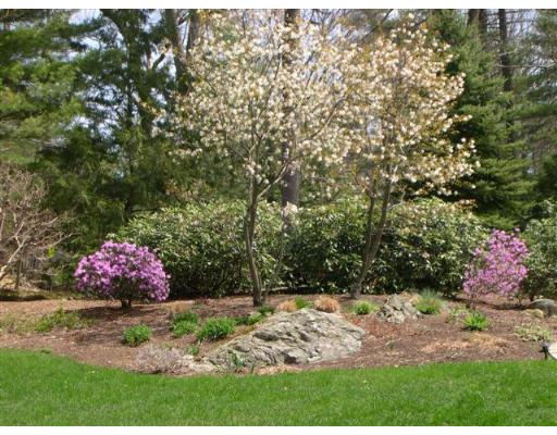 73 Fairview Road Weston, MA 02493 - Photo 12 of 26