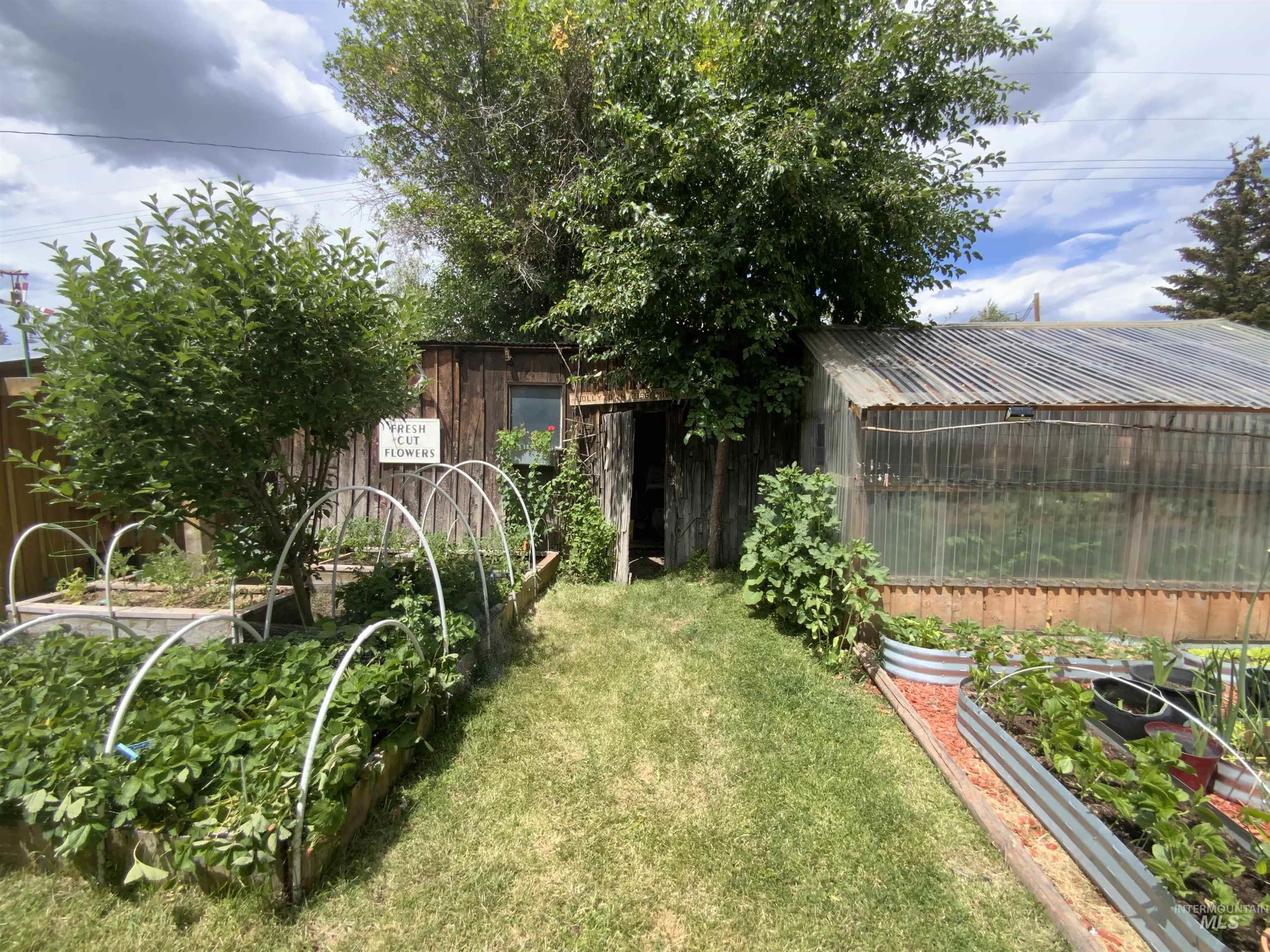 205 Alturas Avenue East Fairfield, ID 83327 - Photo 4 of 39 View of yard featuring a garden, an outdoor structure, and a greenhouse