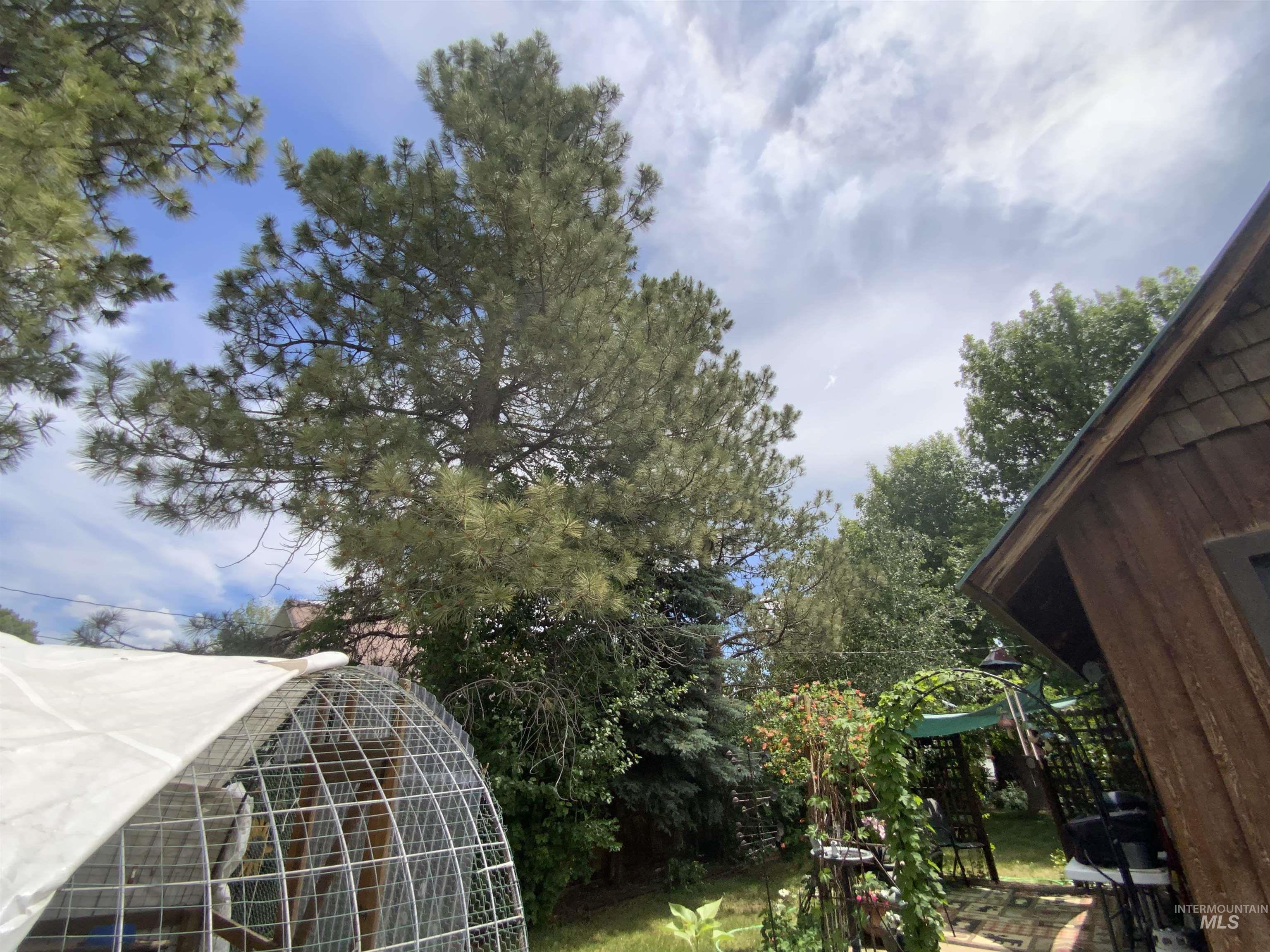 205 Alturas Avenue East Fairfield, ID 83327 - Photo 9 of 39 Exterior view