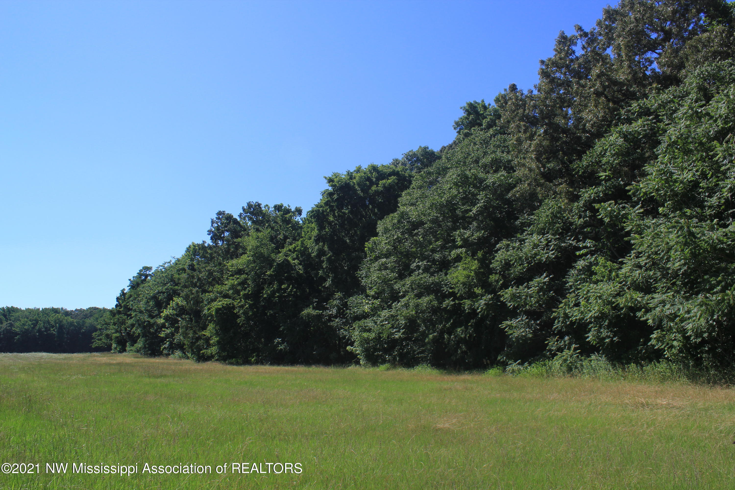 1 Hogan Road Lamar, MS 38642 - Photo 20 of 39 IMG_6806
