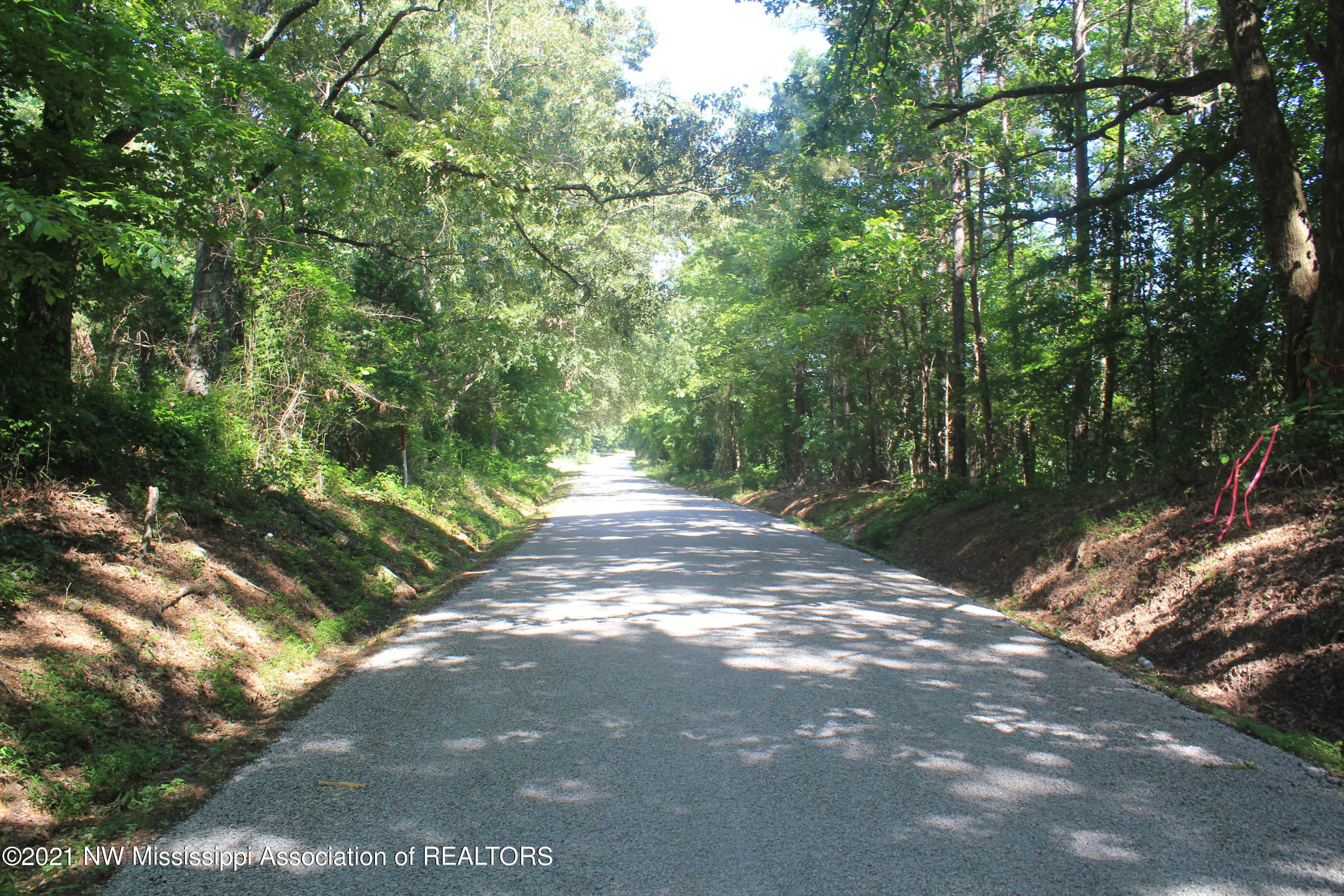 1 Hogan Road Lamar, MS 38642 - Photo 2 of 39 IMG_6788