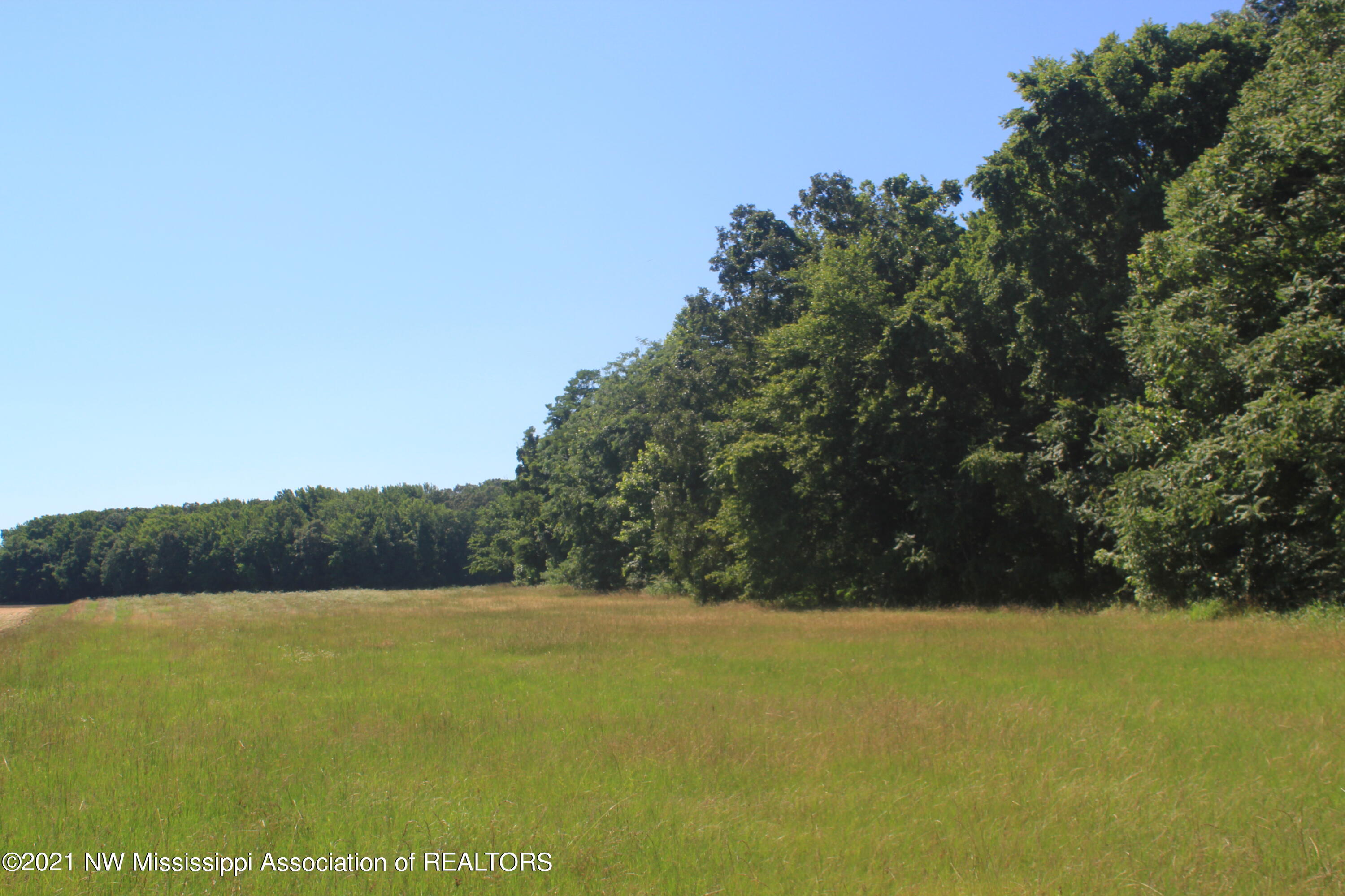1 Hogan Road Lamar, MS 38642 - Photo 21 of 39 IMG_6807