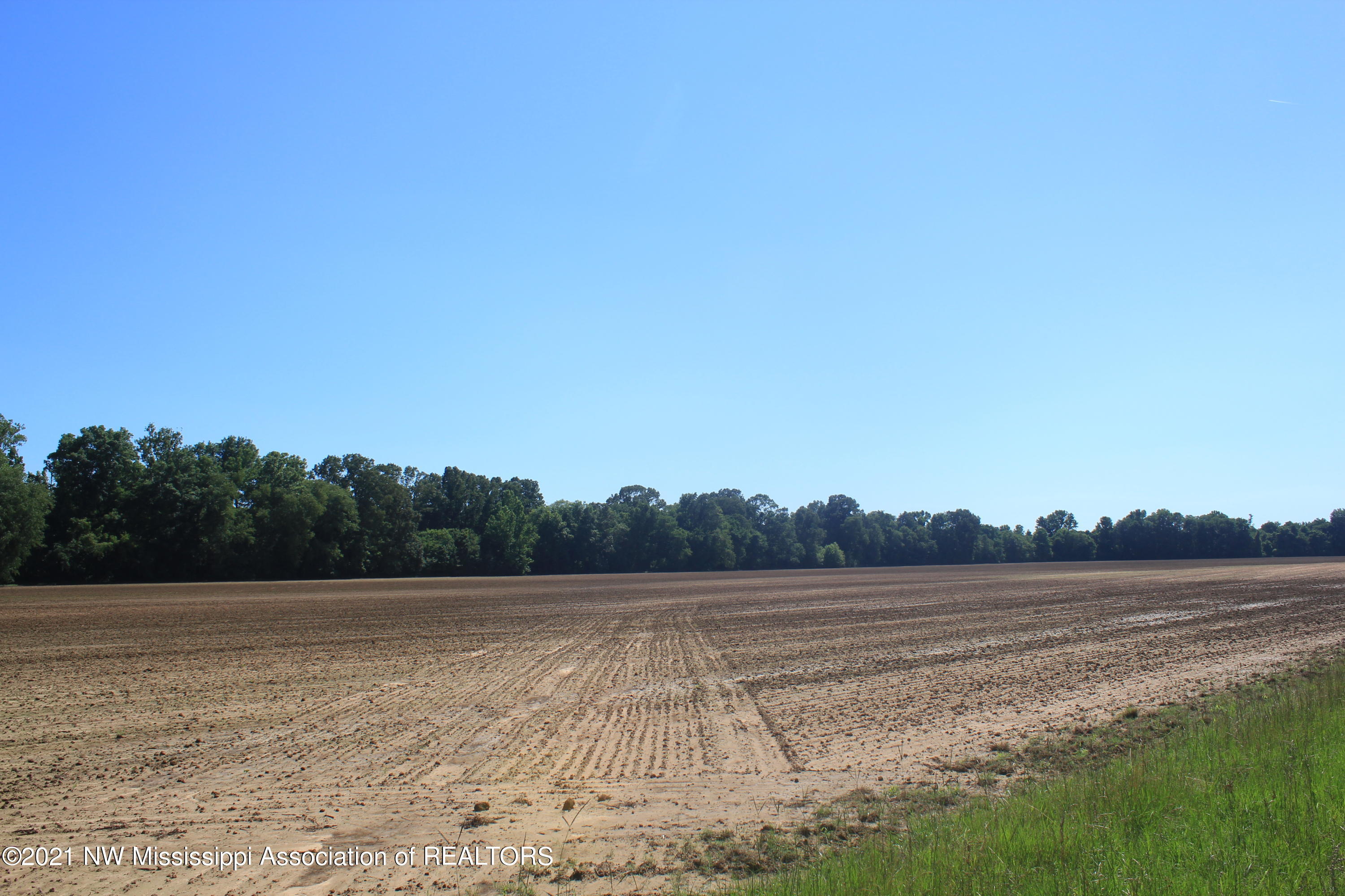 1 Hogan Road Lamar, MS 38642 - Photo 23 of 39 IMG_6809