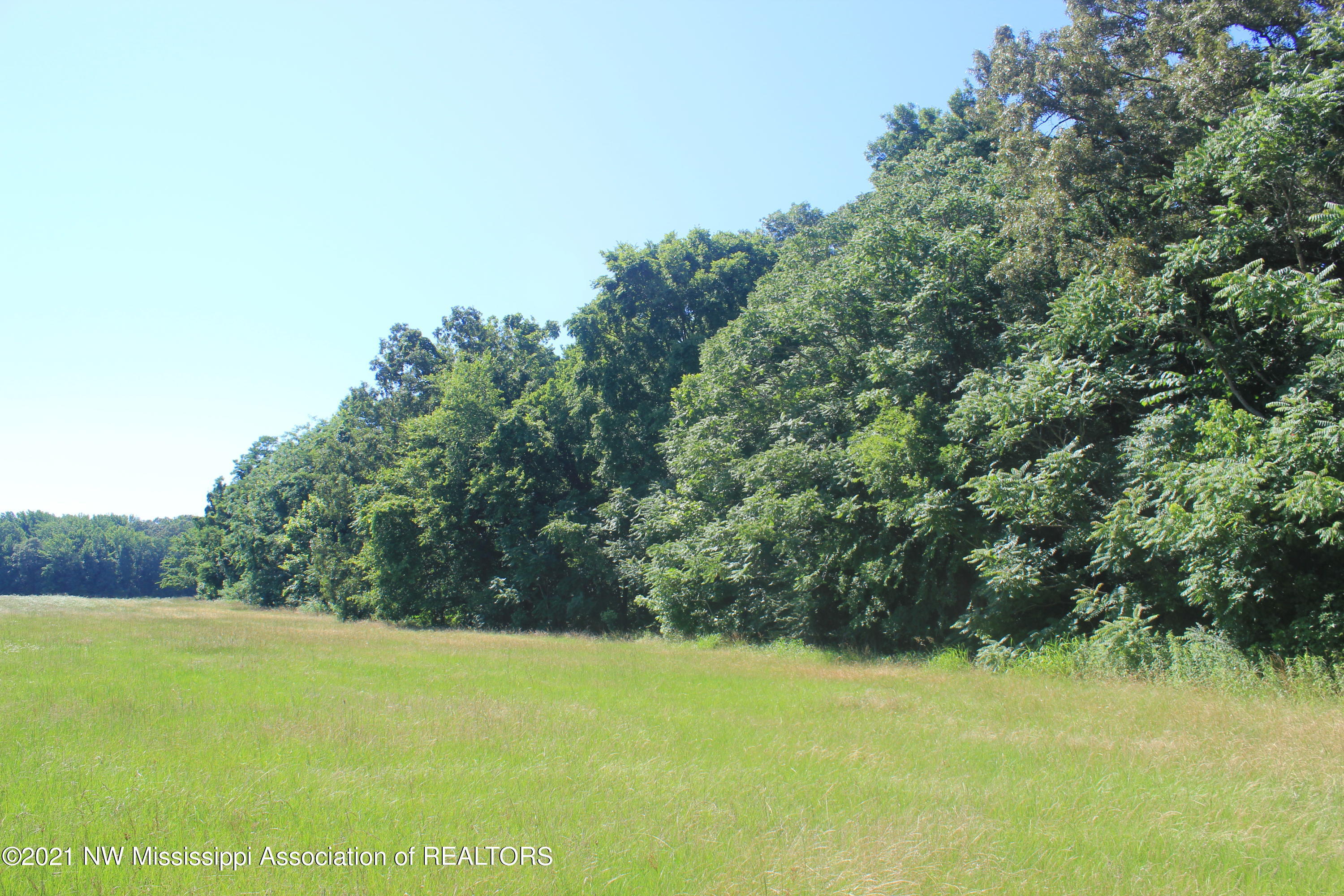 1 Hogan Road Lamar, MS 38642 - Photo 24 of 39 IMG_6810