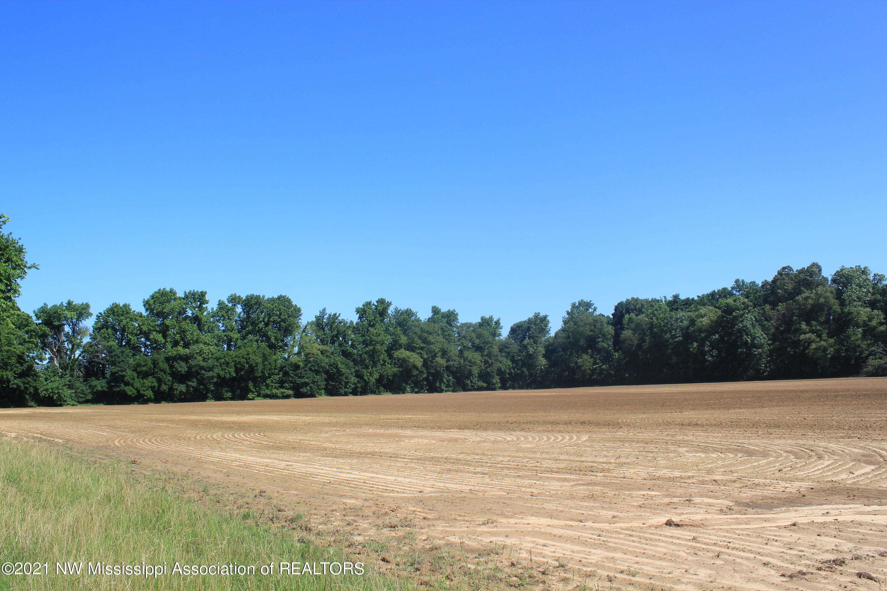 1 Hogan Road Lamar, MS 38642 - Photo 25 of 39 IMG_6811