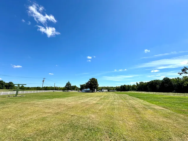 a view of a big yard with a large trees