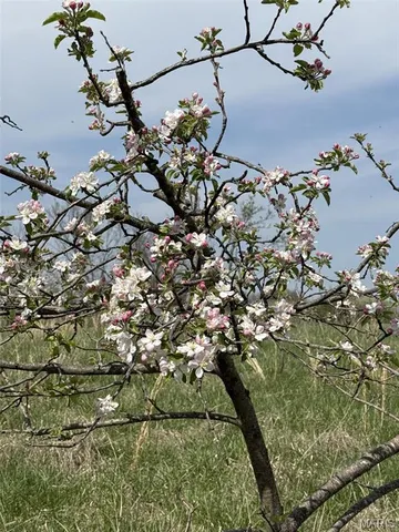 $269,000 | 16000 South J D Sapp Road, Hartsburg, MO 65039