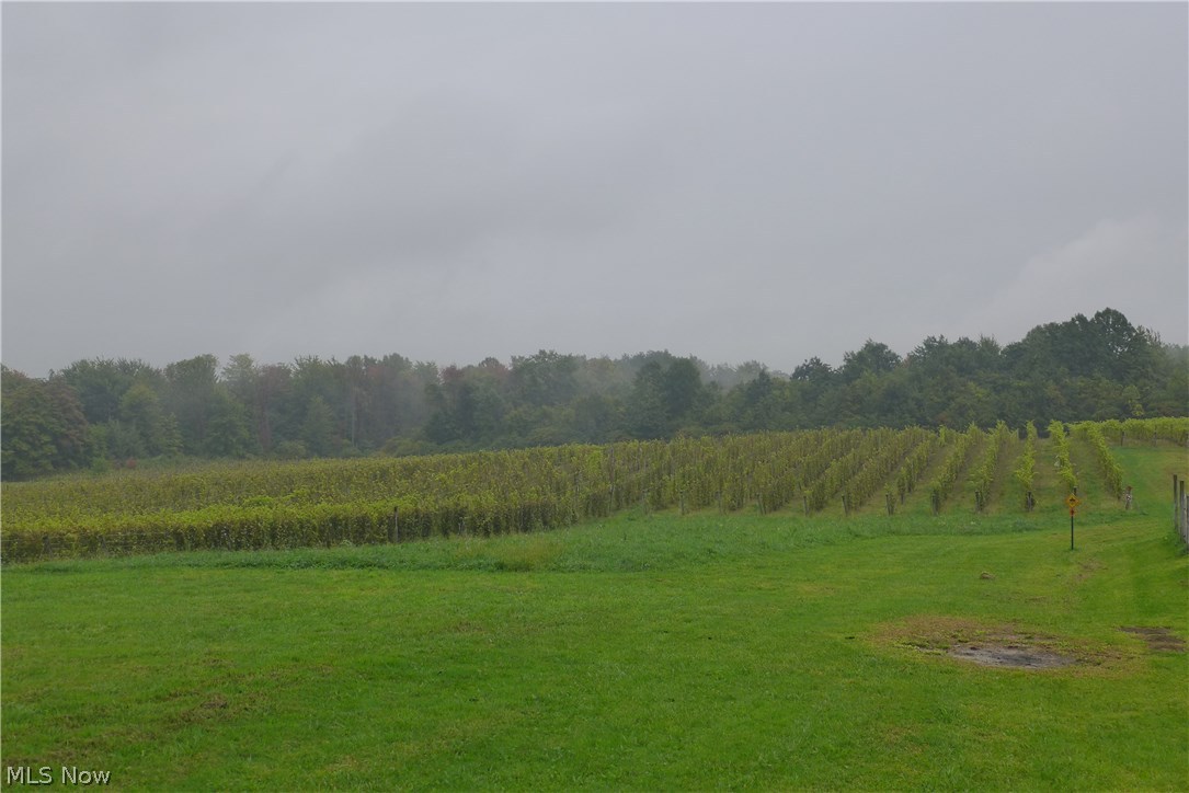 0 South Broadway State Road Geneva, OH 44041 - Photo 2 of 6 Gallery Image 2