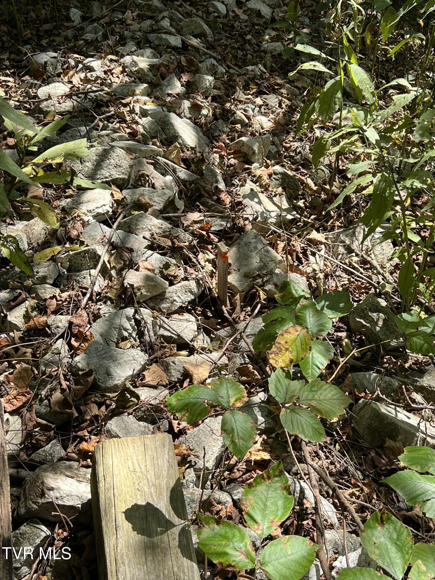 Tbd Simerly Creek Road Unicoi, TN 37692 - Photo 22 of 26 IMG_2752