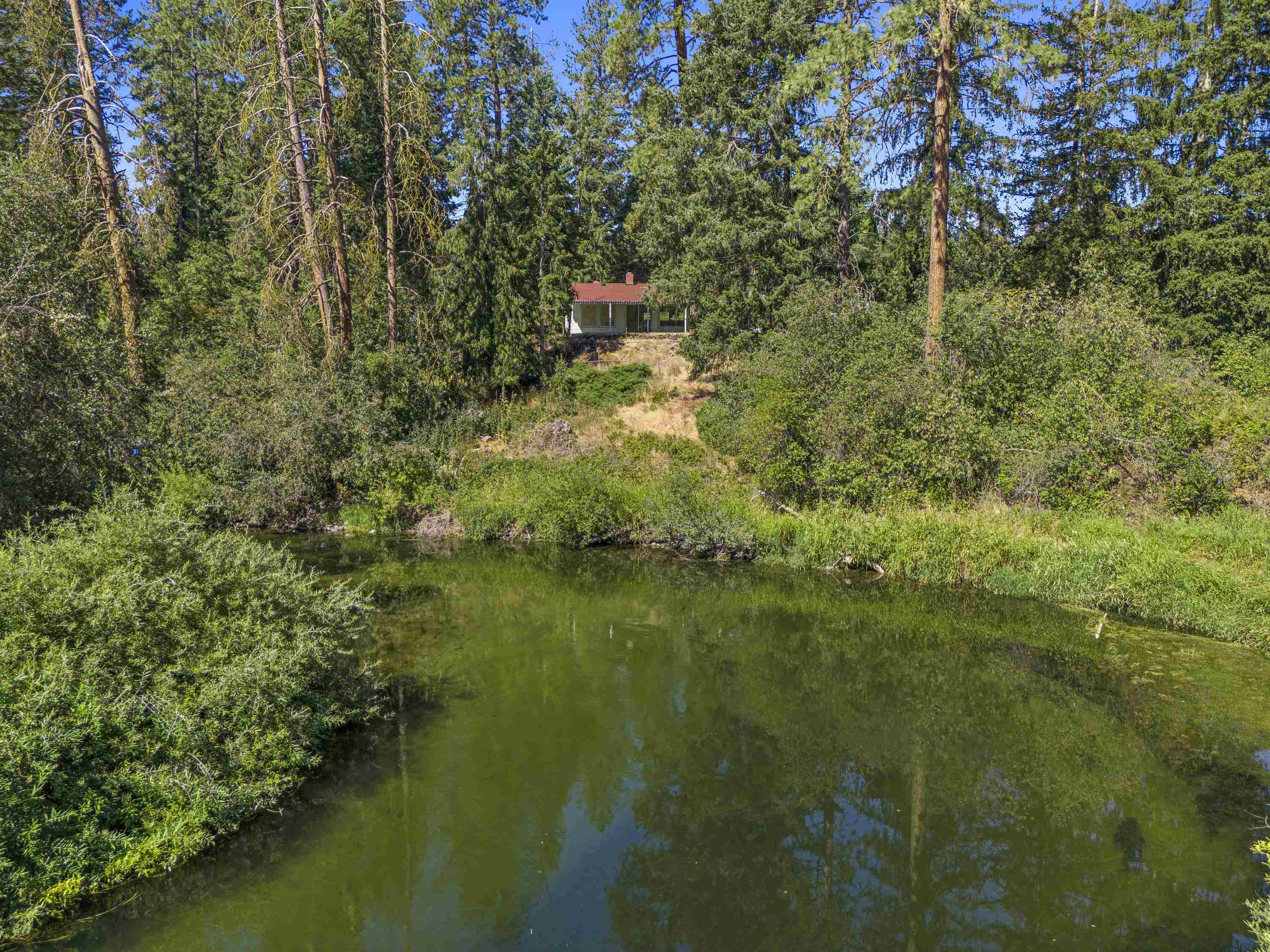 19228 North Little Spokane Drive Colbert, WA 99005 - Photo 3 of 50