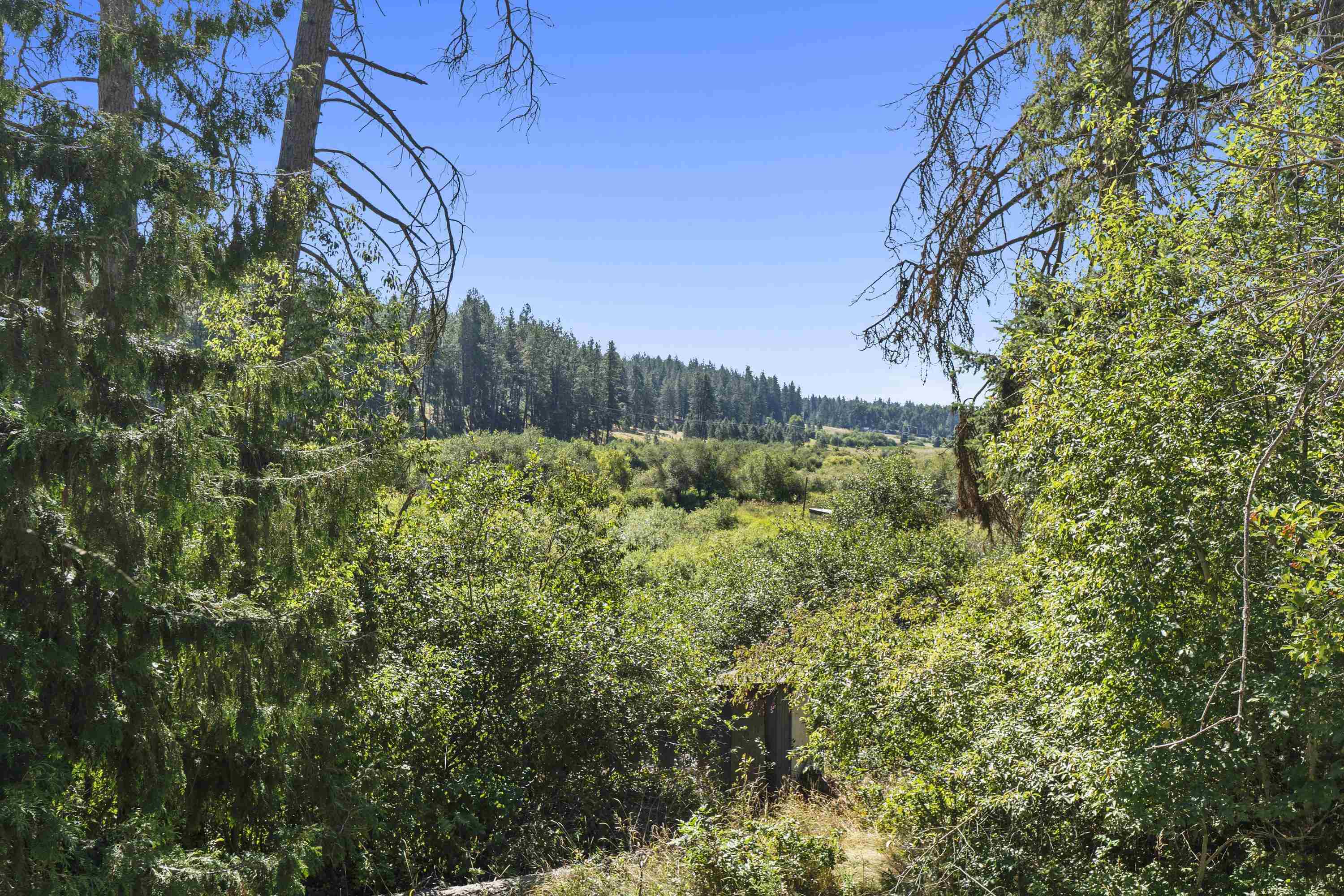 19228 North Little Spokane Drive Colbert, WA 99005 - Photo 35 of 50