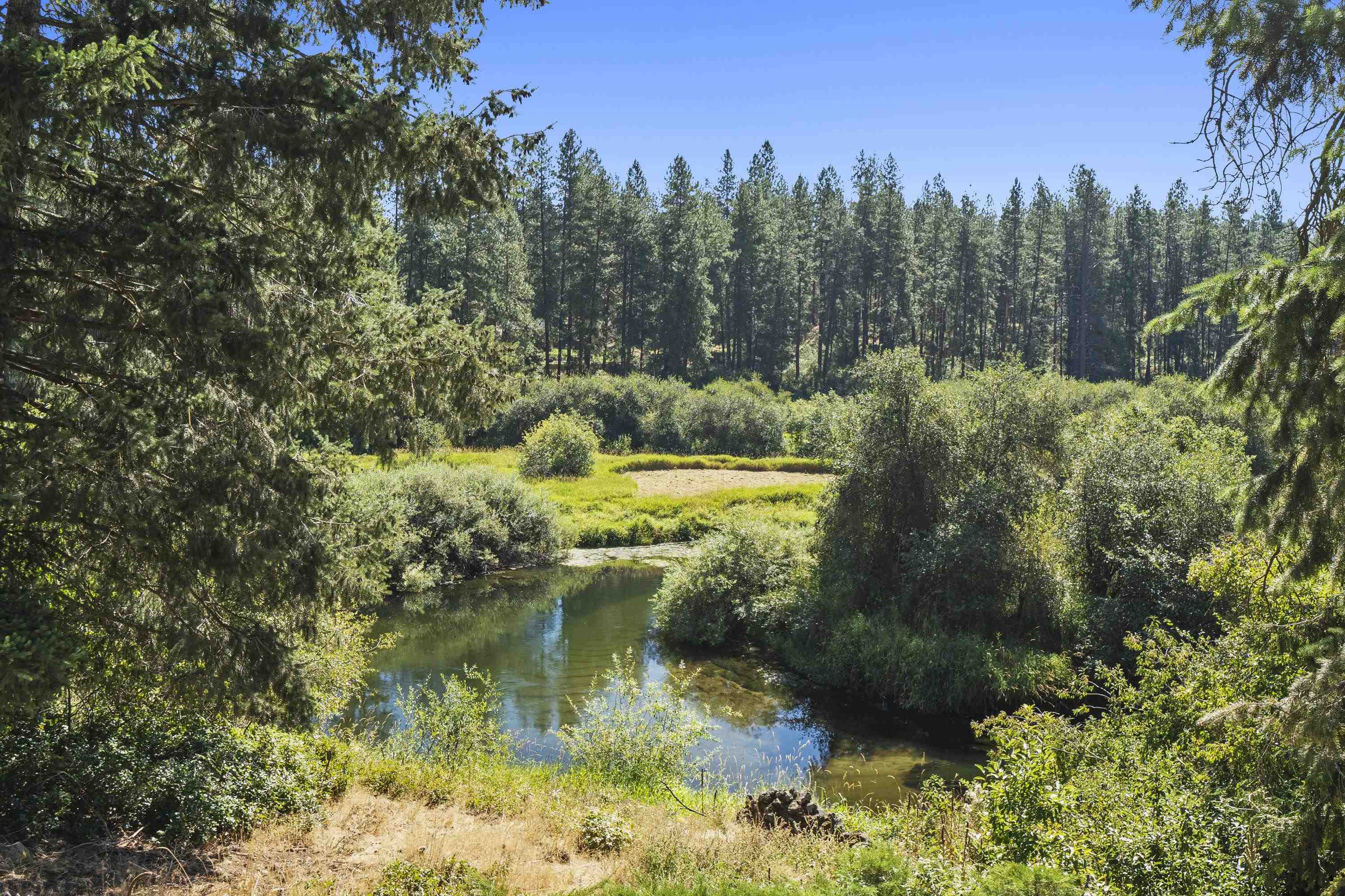 19228 North Little Spokane Drive Colbert, WA 99005 - Photo 36 of 50