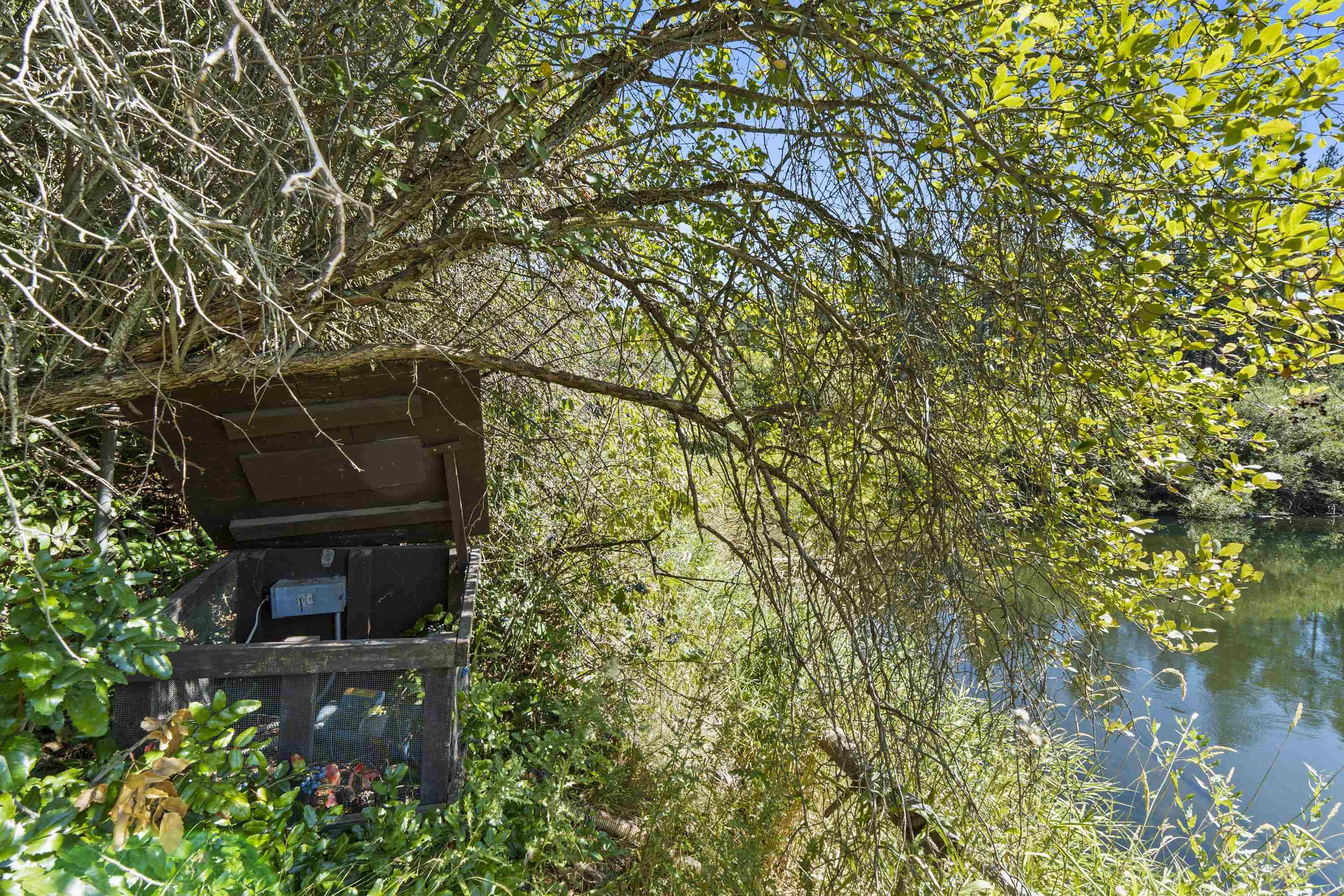 19228 North Little Spokane Drive Colbert, WA 99005 - Photo 40 of 50