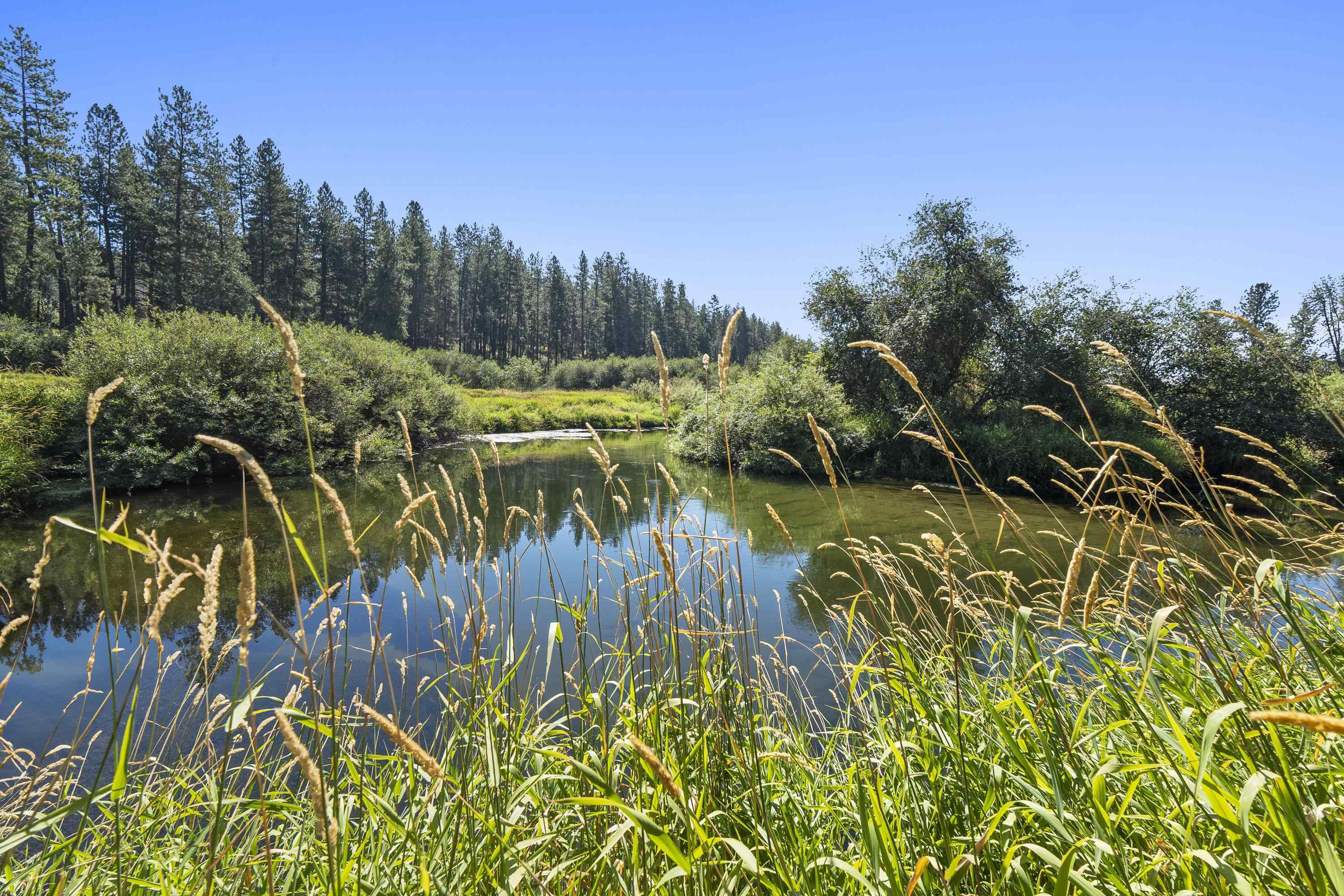 19228 North Little Spokane Drive Colbert, WA 99005 - Photo 41 of 50