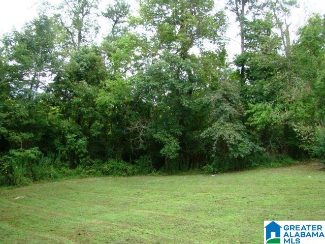 5958 Rock Springs Road Gadsden, AL 35905 - Photo 3 of 10