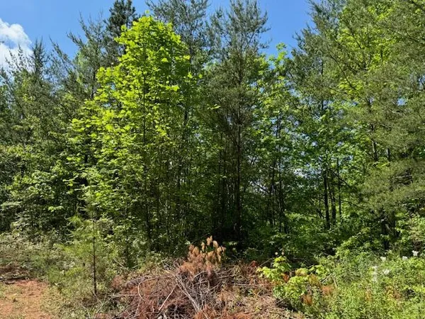 $28,160 | Lot 11 Paradise, Marble, NC 28905