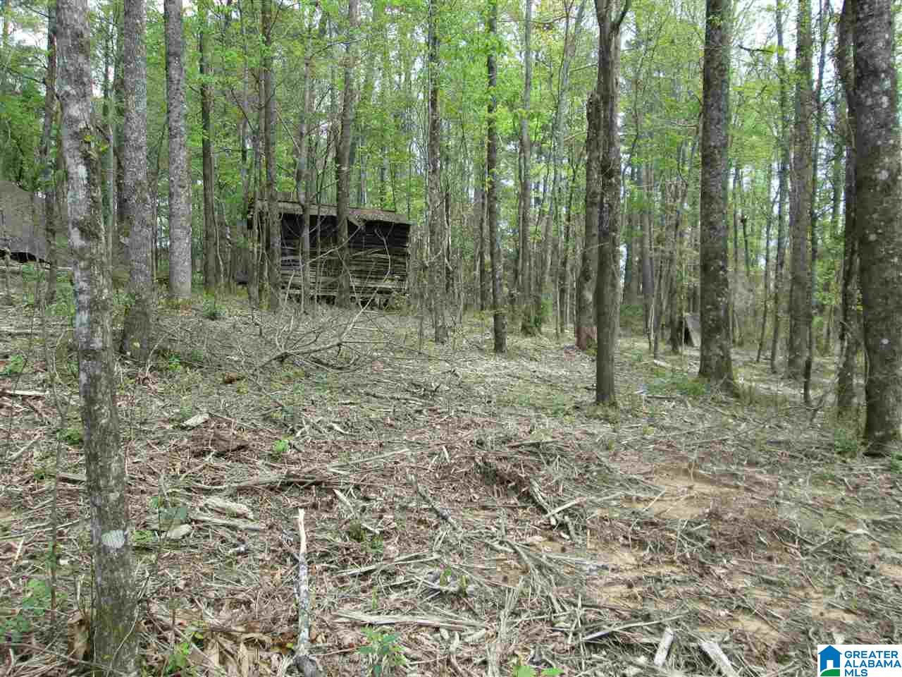 2460 Corner Road Warrior, AL 35180 - Photo 12 of 13