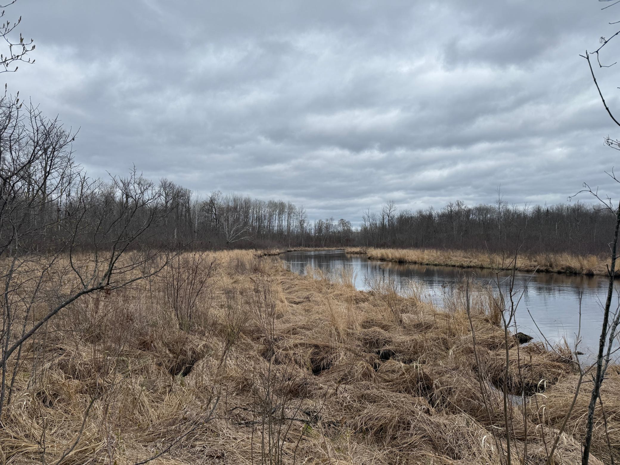 3854 Rasmussen Road Wright, MN 55798 - Photo 35 of 98