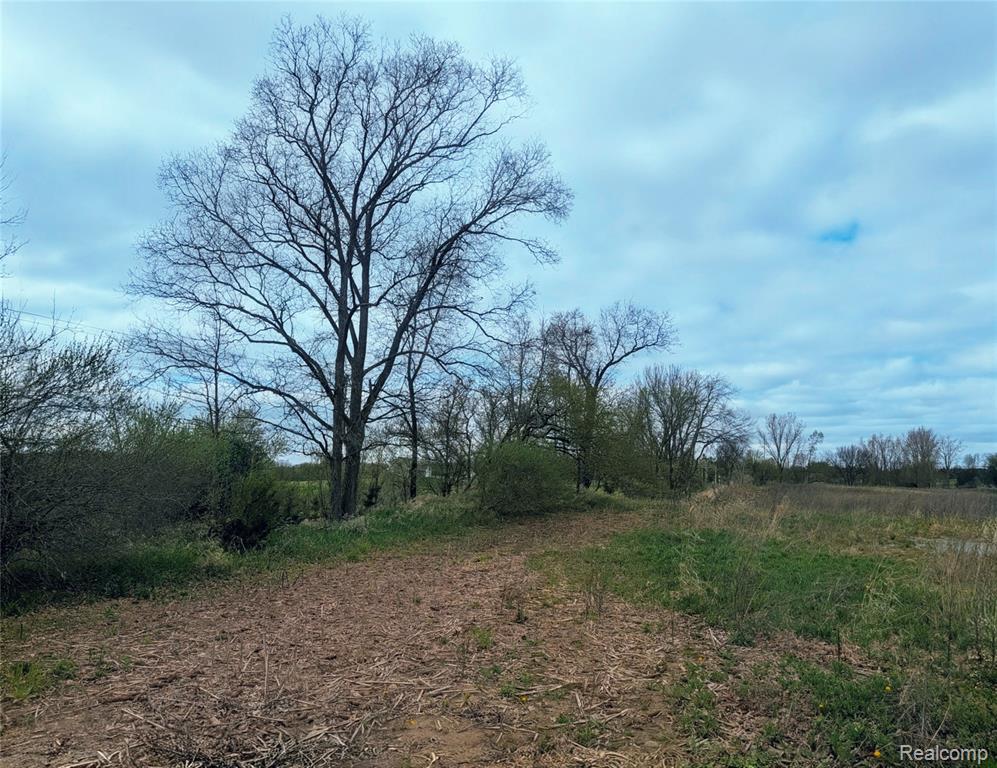 Parcel E Hogan Road Linden, MI 48451 - Photo 16 of 22