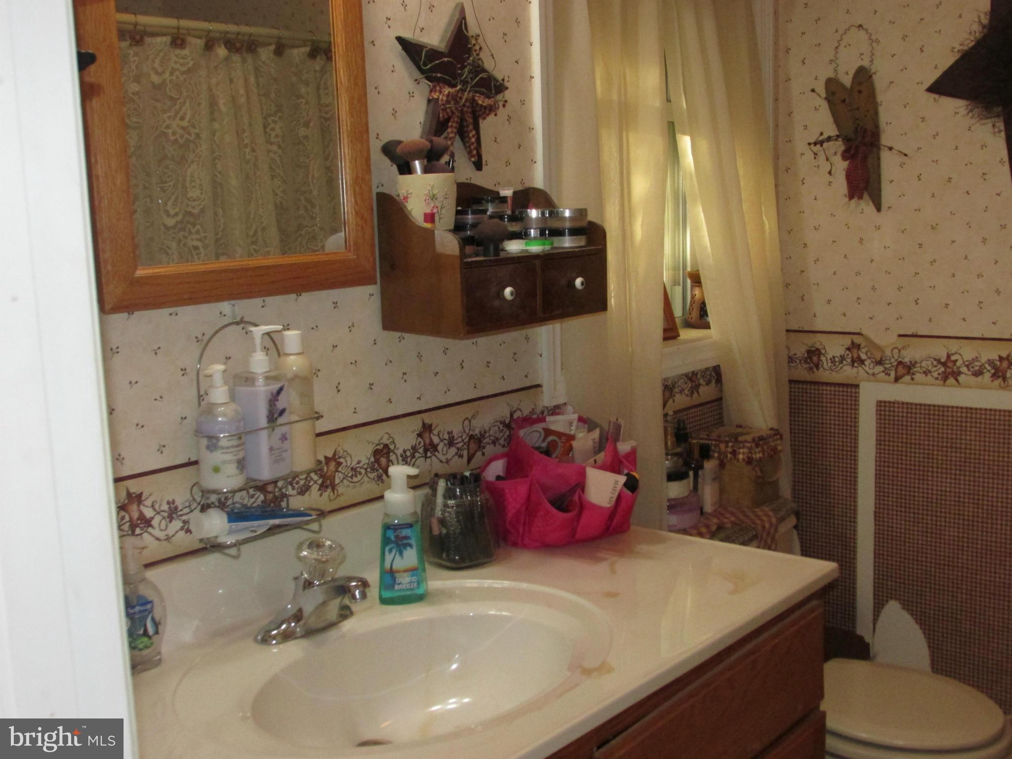 6610 Briarpatch Road Hurlock, MD 21643 - Photo 13 of 16 Bath (Master)