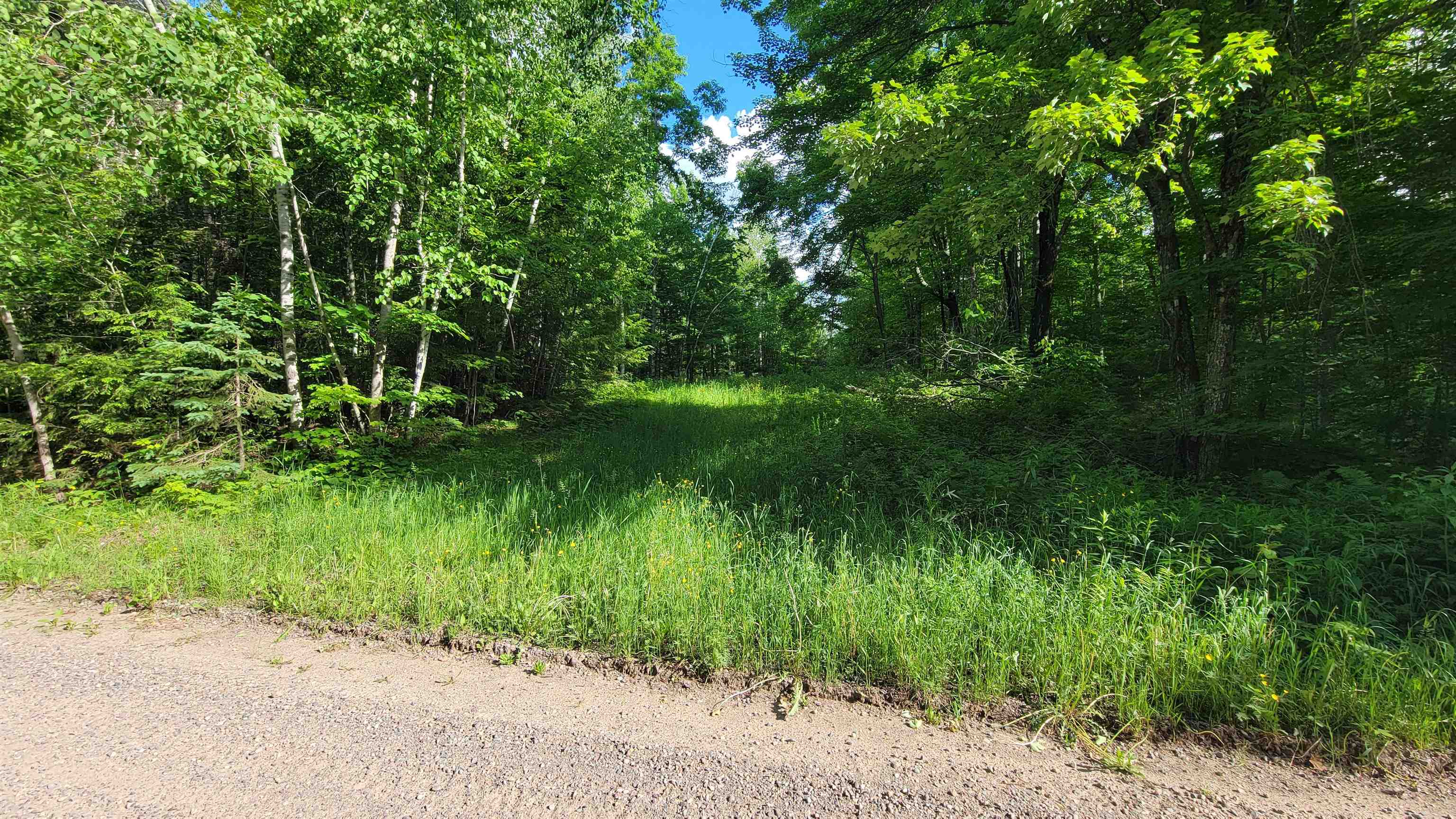 On Hunting River Road Summit Lake, WI 54485 - Photo 9 of 10