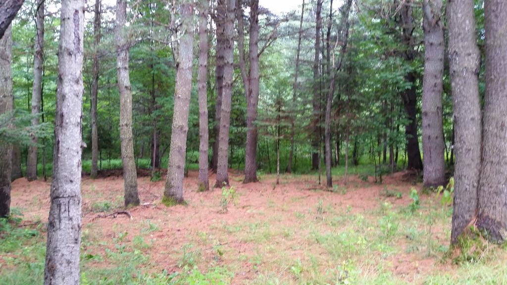 75 Campground Road North Anson, ME 04958 - Photo 24 of 31 This is in the back right out behind...