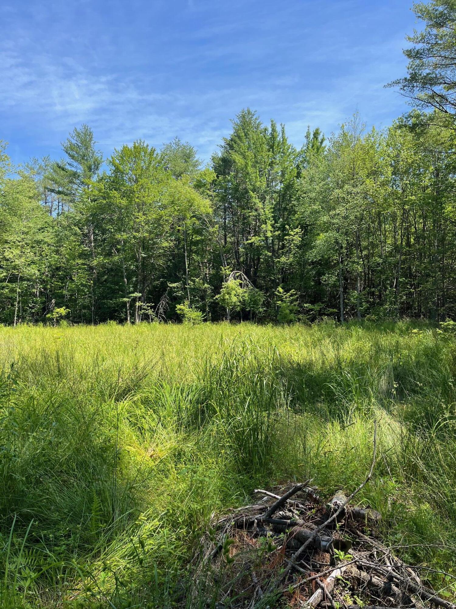 0 Granite Ridge Road New Gloucester, ME 04260 - Photo 10 of 11 IMG_7585