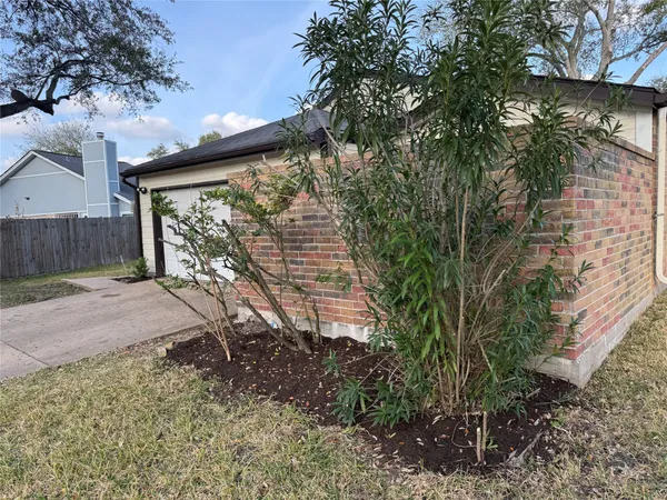 a view of a backyard with plants and a large tree