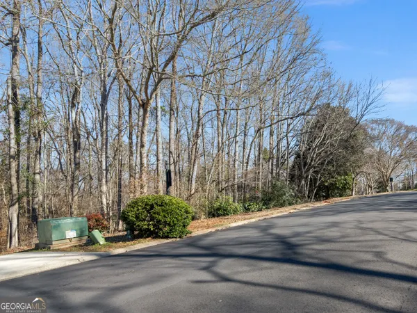 a view of a garden with pathway