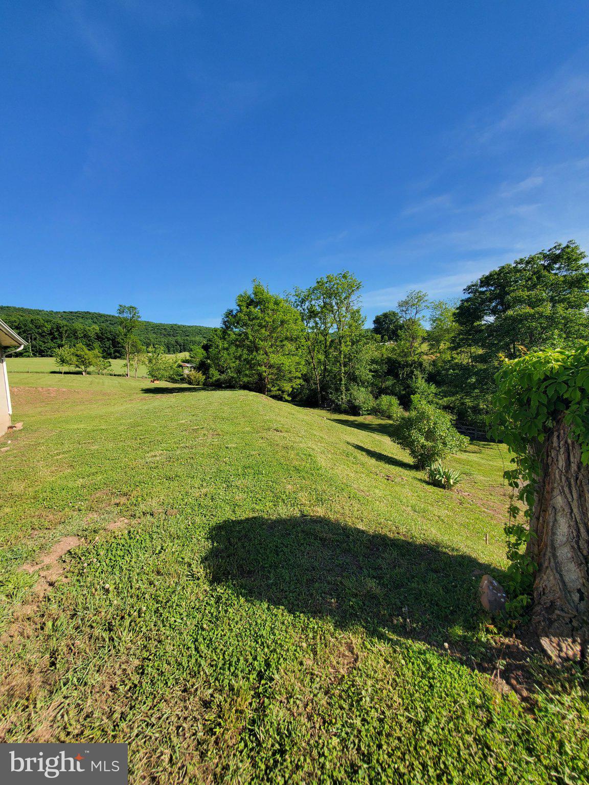7881 Ford Hill Road Rio, WV 26755 - Photo 11 of 27 Serene green landscape under blue skies.