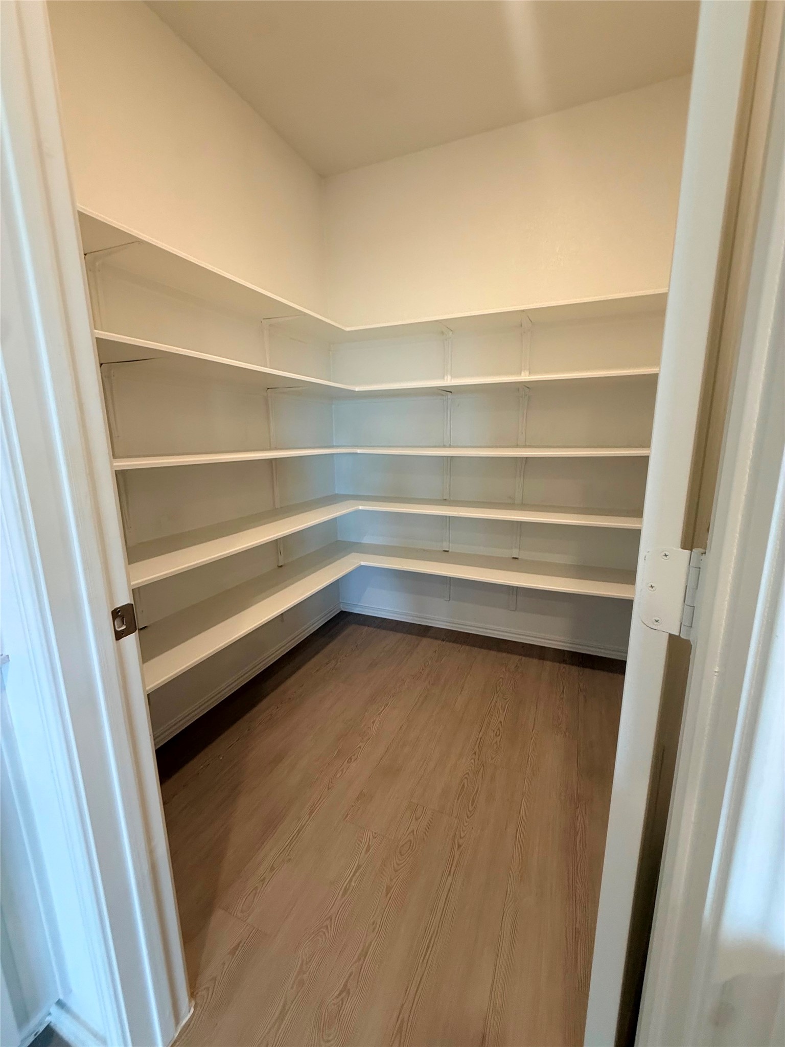 192 Rodney Boat Road Kyle, TX 78640 - Photo 30 of 40 Ample storage solutions await in this well-organized pantry with robust shelving.